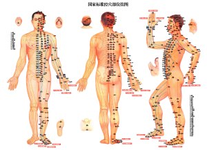acupuncture-point
