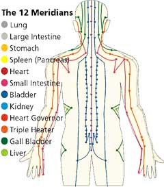 12 meridians